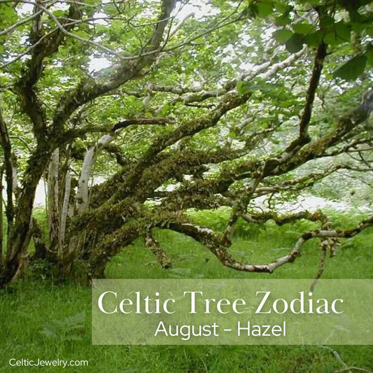 August: The Hazel Tree