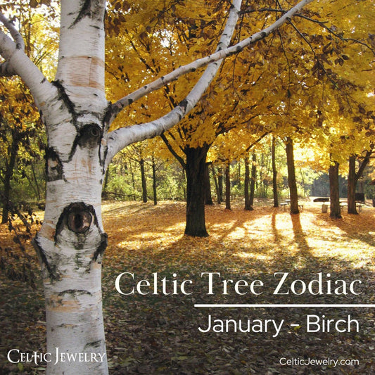 January: The Birch Tree